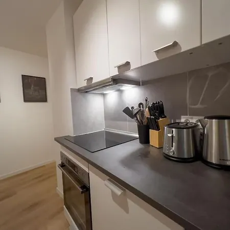 公寓 3-zimmer 88 Qm Bis Zu 8 Personen 维宁根