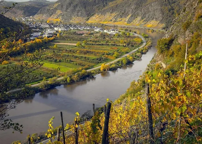 Apartament 3-zimmer 88 Qm Bis Zu 8 Personen Winningen